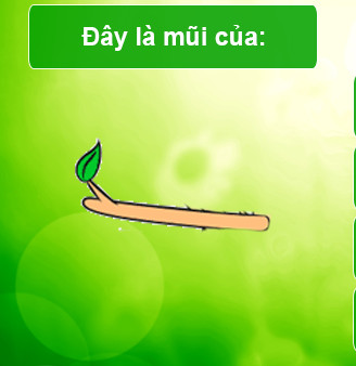 Trắc nghiệm về phim