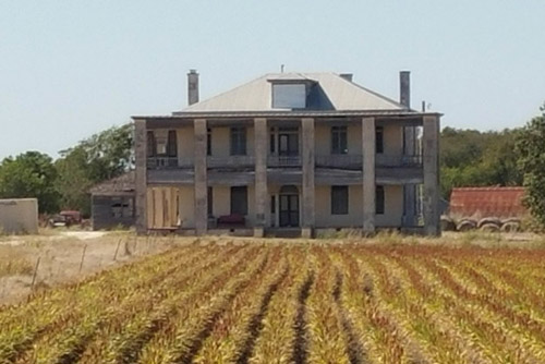 trắc nghiệm về phim 