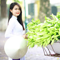 Đề thi khảo sát chất lượng đầu năm môn Toán lớp 11 trường THPT Chuyên Đại học Vinh năm học 2015 - 2016