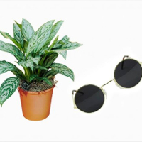 Đoán tên phim qua hai món đồ biểu tượng