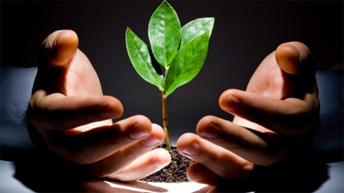 Bạn nên chọn kiểu con gái nào làm vợ?