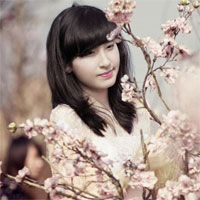 Soạn bài lớp 7: Cách lập ý của bài văn biểu cảm