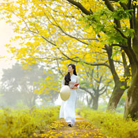 Đề thi giữa học kì 1 môn Vật lý lớp 11 trường THPT Phan Ngọc Hiển, Cà Mau năm 2015 - 2016