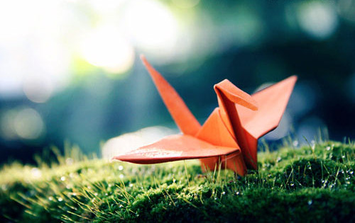 Trắc nghiệm tính cách 