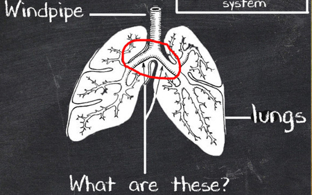 Trắc nghiệm kiến thức 