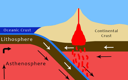 Trắc nghiệm kiến thức 