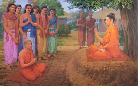 Trắc nghiêm kiến thức 