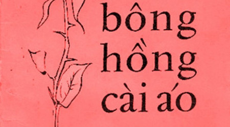 Trắc nghiệm kiến thức