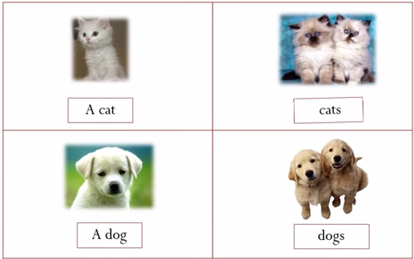 Danh từ đếm được và Danh từ không đếm được