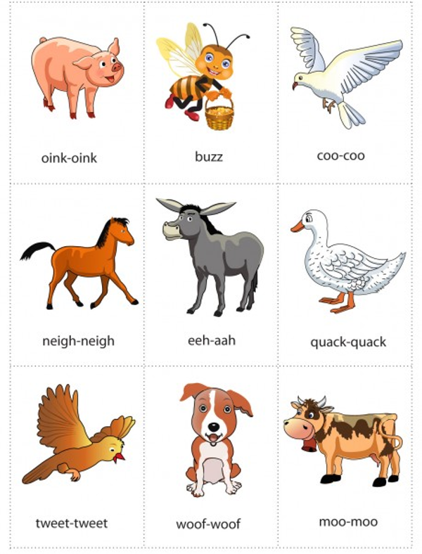 Học tiếng anh tên các con vật