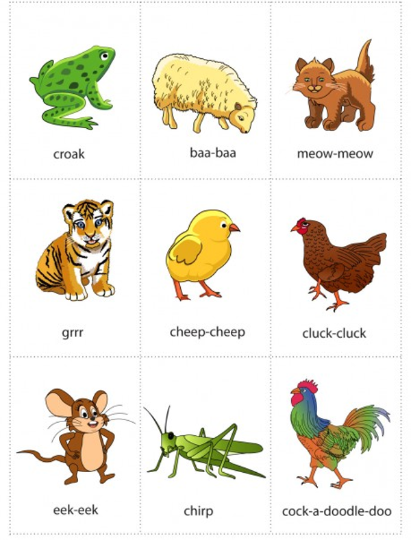 Tiếng kêu các loài vật trong tiếng Anh