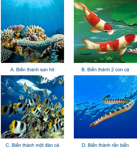 tam-hon-ban-dang-o-do-tuoi-bao-nhieu