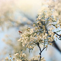 Đề thi giữa học kì 1 môn Địa lý lớp 10 trường THPT Phan Ngọc Hiển, Cà Mau năm 2015 - 2016