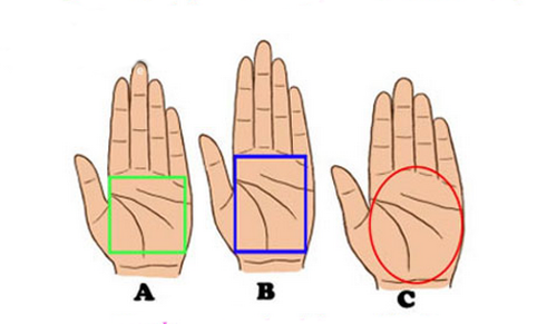 Hình dạng lòng bàn tay tiết lộ số mệnh của bạn