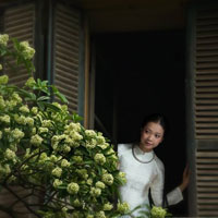 Đề thi giữa học kì 1 môn Vật lý lớp 10 trường THPT Phan Ngọc Hiển, Cà Mau năm 2015 - 2016