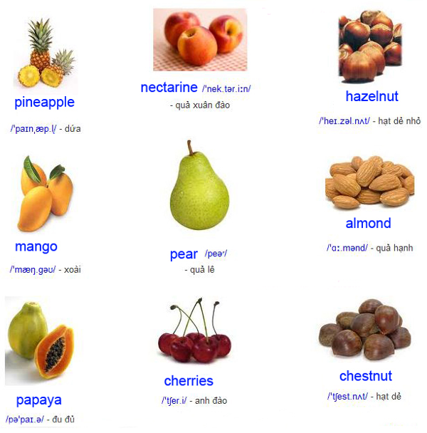 Các loại trái cây trong tiếng Anh