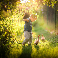 Đề thi khảo sát chất lượng đầu năm môn Tiếng Anh lớp 11 trường THPT Hàn Thuyên, Bắc Ninh năm học 2016 - 2017