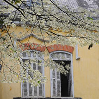 Đề thi khảo sát chất lượng đầu năm môn Sinh học lớp 12 trường THPT Hàn Thuyên, Bắc Ninh năm học 2016 - 2017