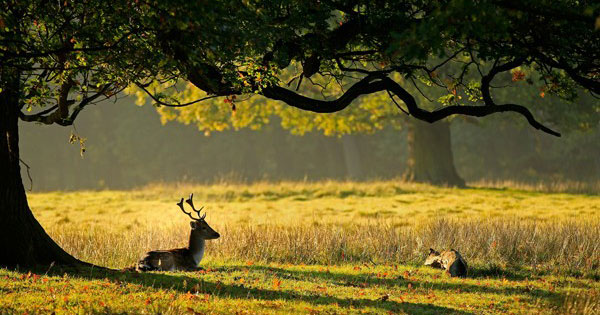Bài văn mẫu lớp 10: Cảm nghĩ về thiên nhiên và đời sống của con người trong thời khắc chuyển mùa