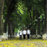 Đề thi khảo sát chất lượng đầu năm môn Hóa học lớp 11 trường THPT Hàn Thuyên, Bắc Ninh năm học 2016 - 2017