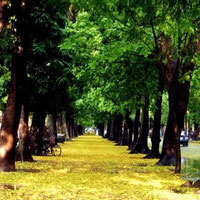 Đề thi khảo sát chất lượng đầu năm môn Hóa học lớp 12 trường THPT Hàn Thuyên, Bắc Ninh năm học 2016 - 2017