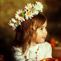 Đề thi Violympic Toán lớp 1 vòng 1 năm 2016 - 2017