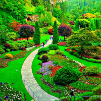 Bài tập luyện đọc Tiếng Anh trình độ cơ bản: My Garden