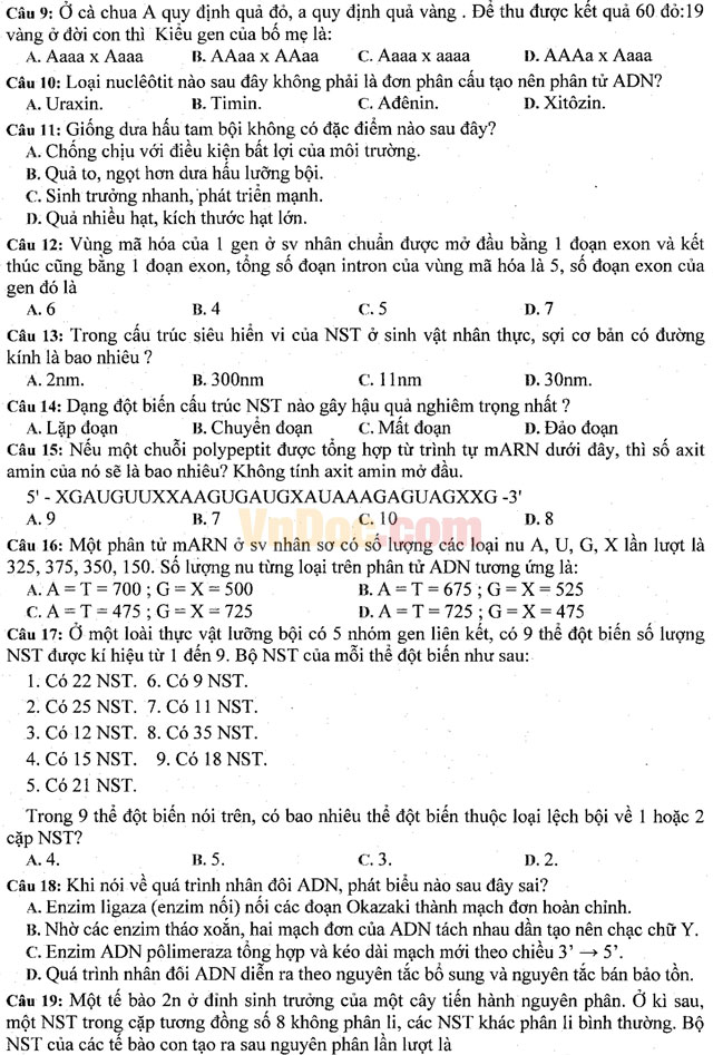 Đề thi khảo sát chất lượng đầu năm môn Sinh học lớp 11 trường THPT Hàn Thuyên, Bắc Ninh năm học 2016 - 2017 Đề thi khảo sát chất lượng đầu năm môn Sinh học lớp 11 có đáp án