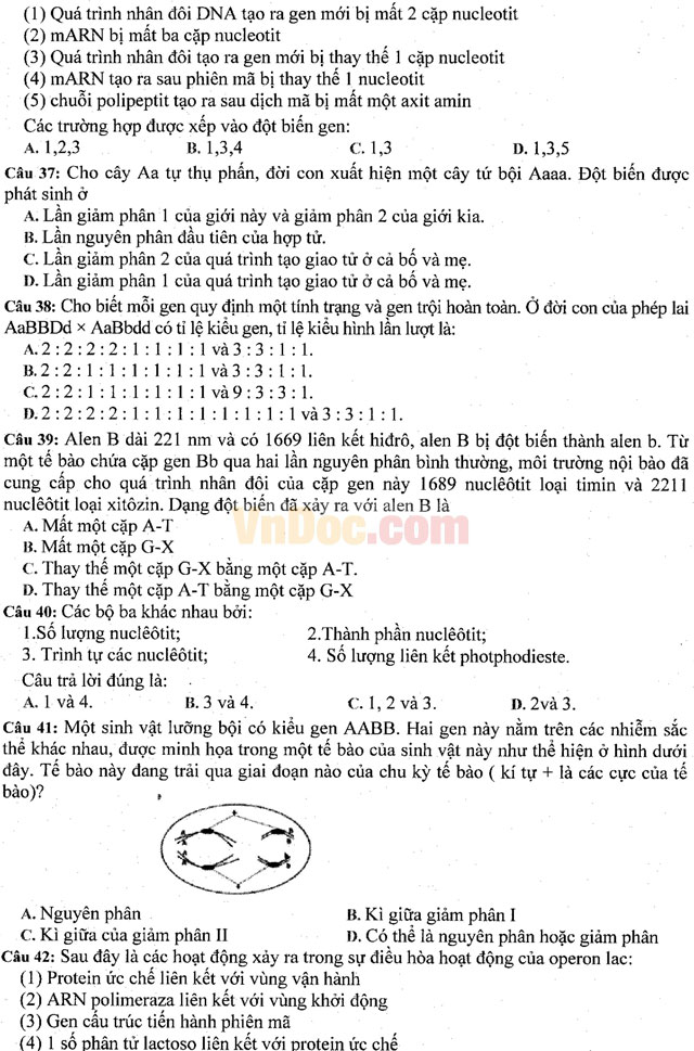 Đề thi khảo sát chất lượng đầu năm môn Sinh học lớp 11 trường THPT Hàn Thuyên, Bắc Ninh năm học 2016 - 2017 Đề thi khảo sát chất lượng đầu năm môn Sinh học lớp 11 có đáp án