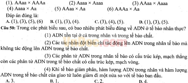 Đề thi khảo sát chất lượng đầu năm môn Sinh học lớp 11 trường THPT Hàn Thuyên, Bắc Ninh năm học 2016 - 2017 Đề thi khảo sát chất lượng đầu năm môn Sinh học lớp 11 có đáp án