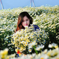 Soạn bài lớp 6: Mẹ hiền dạy con