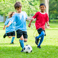 Bài tập Tiếng Anh lớp 4 Let's learn English 2 Unit 12