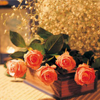 Soạn bài lớp 10: Lập kế hoạch cá nhân