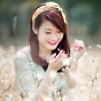 Soạn bài lớp 8: Ôn tập truyện ký Việt Nam