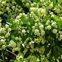 Đề thi khảo sát chất lượng đầu năm môn Toán lớp 6 trường THCS Long Xuyên, Hải Dương năm học 2014 - 2015