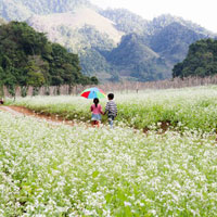Đề thi khảo sát chất lượng đầu năm môn Toán lớp 7 trường THCS Long Xuyên, Hải Dương năm học 2014 - 2015