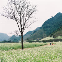 Đề kiểm tra chất lượng đầu năm môn Ngữ văn lớp 6 năm 2013 - 2014 Trường THCS Lương Thế Vinh, Cần Thơ