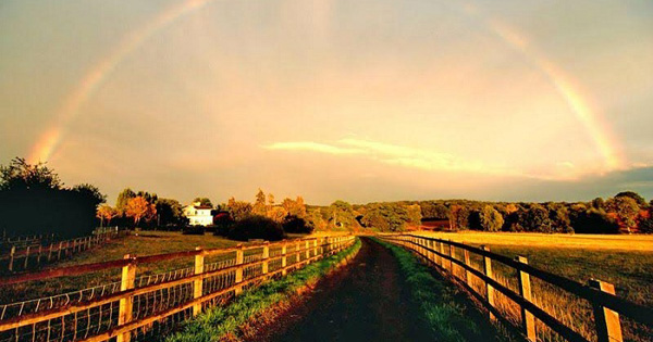 Tả quang cảnh sau cơn mưa