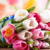 Đề thi chọn lớp khối 10 môn Anh trường THPT Yên Lạc 2, Vĩnh Phúc năm học 2016 - 2017