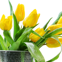 Đề thi học sinh giỏi môn Tiếng Anh lớp 8 THCS Cấp Tiến, Tiên Lãng, Hải Phòng năm học 2016 - 2017