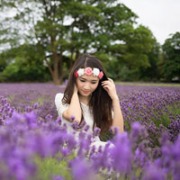 Tổng hợp đề thi giữa học kỳ I môn Ngữ văn lớp 12 năm học 2015 - 2016