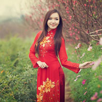 Soạn bài lớp 10: Luyện tập về liên kết trong văn bản (Tiếp theo)