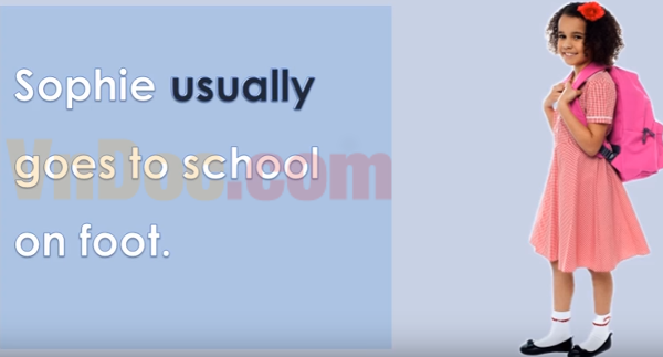 Trạng từ chỉ tần suất (Frequency)