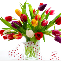 Bài tập tự luận Tiếng Anh lớp 9 Unit 4