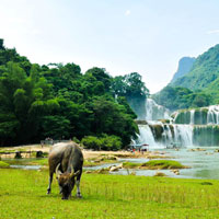 Bài tập Sinh học lớp 10: Các cấp tổ chức của thế giới sống