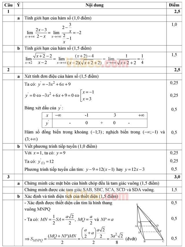 Đề thi khảo sát chất lượng đầu năm môn Toán lớp 12 có đáp án