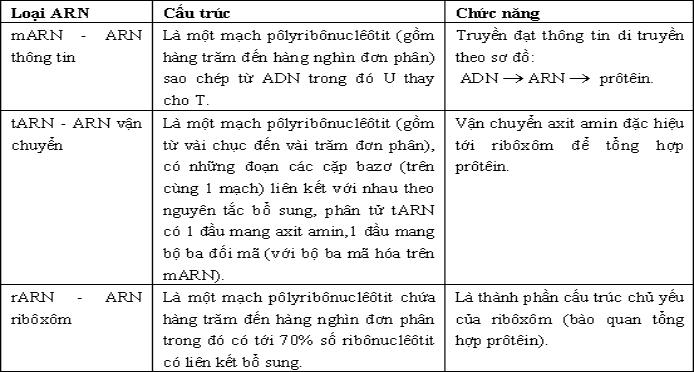 Bài tập Sinh học lớp 10: Axit nuclêic