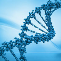 Bài tập Sinh học lớp 10: Axit nuclêic