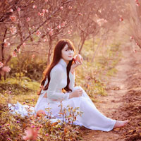 Đề thi giữa học kì 1 môn Ngữ văn lớp 12 trường THPT Marie Curie, TP. Hồ Chí Minh năm học 2015 - 2016