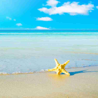 Bài tập tiếng Anh lớp 7 Unit 2: Thông tin cá nhân